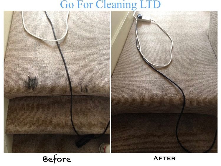 Reasons to Trust Professional Carpet Cleaning Services