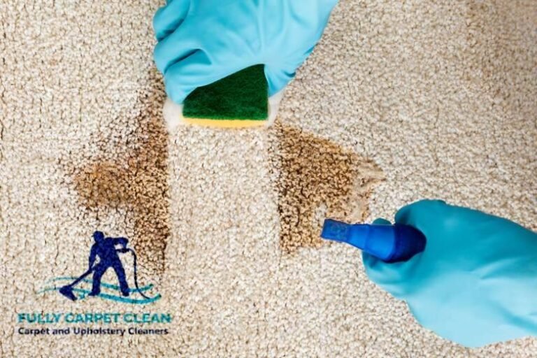 Professional Cleaning Organization for Stain Removal