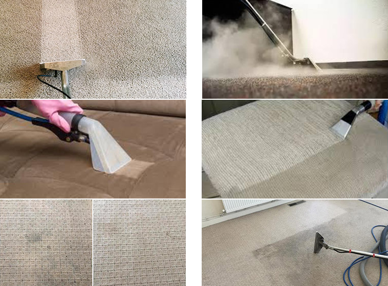 What are the Perks that come with using a Professional Carpet Cleaning Service