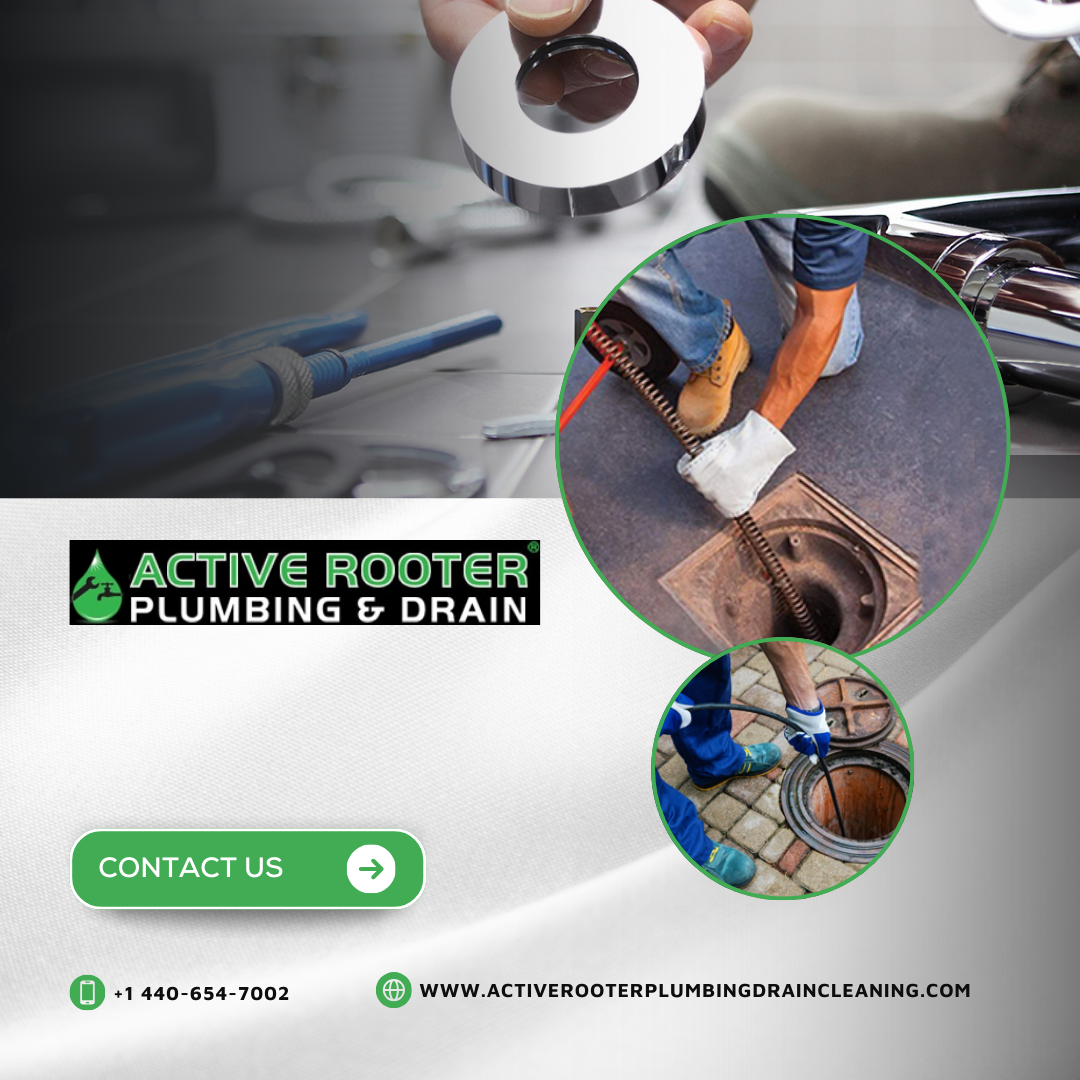 What Are the Signs You Need a Sewer Line Inspection in Elyria?