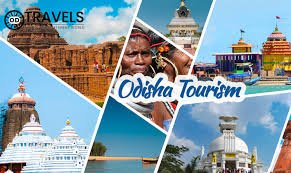 Best Wildlife Tours in Odisha: Explore Nature’s Wonders