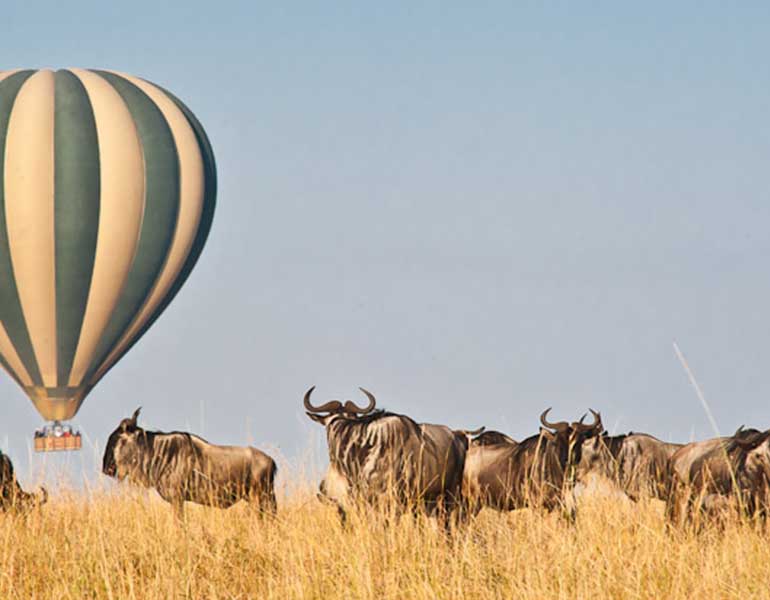 balloon hot air