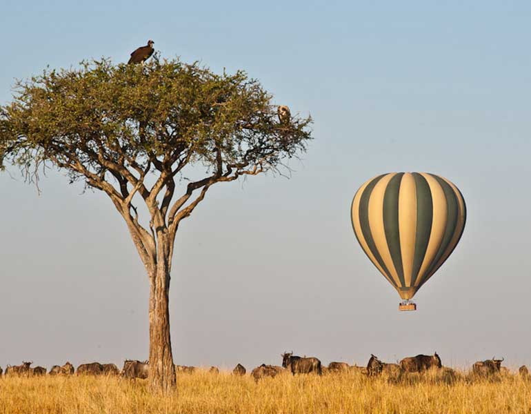 balloon hot air