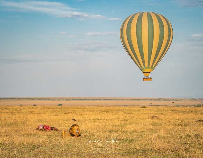 Luxury Hot Air Balloon Masai Mara Safari Packages Now Introduced
