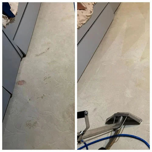 Commercial Carpet Cleaning Services Expanded by Mica in Rockville