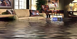 Expert Fire Damage Restoration Services in Glenview, IL for Complete Property Recovery