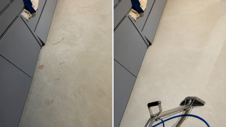 Deep Carpet Cleaning Rockville Helps Homes and Businesses Stay Fresh